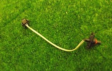 Dishwasher BAUMATIC BFD66W  Thermostat