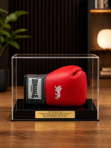 Boxing glove display case - glove,