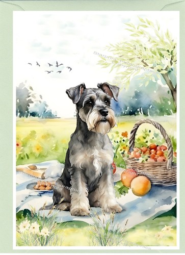 Miniature schnauzer dog - miniature,