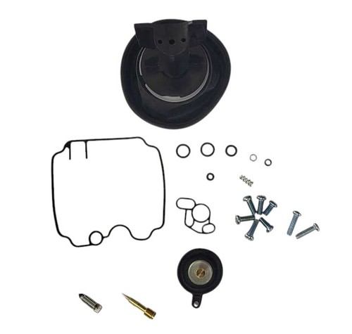 Carburetor repair kit with gas - repair,