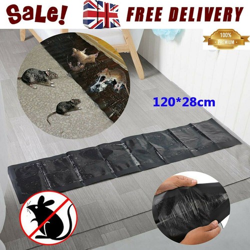 Large sticky mouse board rat - board,