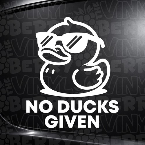 Ducks given funny - ducks, duck