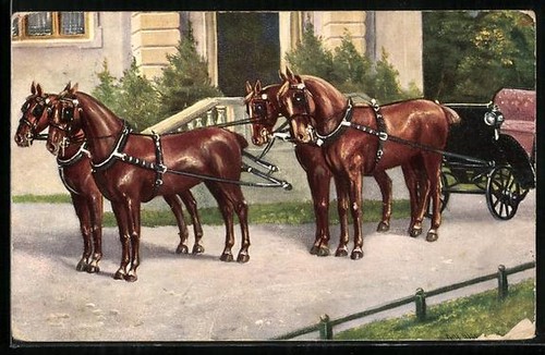 Horse drawn carriage with - carriage,