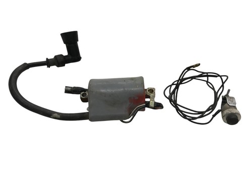 Ignition coil suzuki 250 - coil,