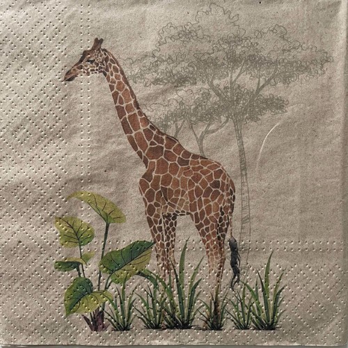 Luncheon paper napkins - 2,