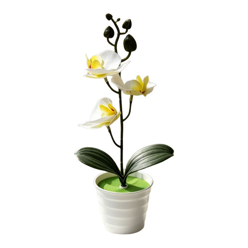 Artificial phalaenopsis orchid - phalaenopsis,