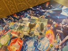 real life bugs and insects