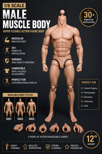 Scale male muscle - scale,