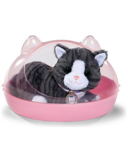 Baby born cat - born, cookie