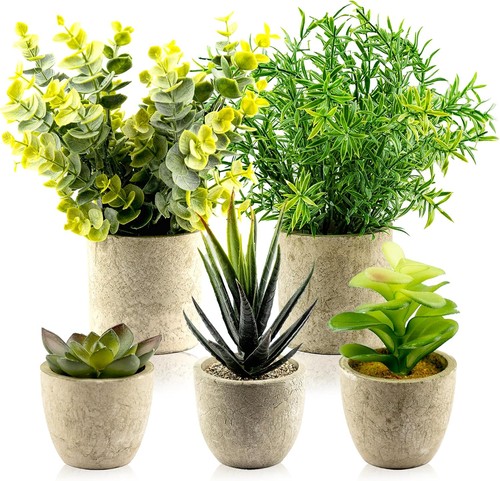 Decorative artificial plants - decorative,