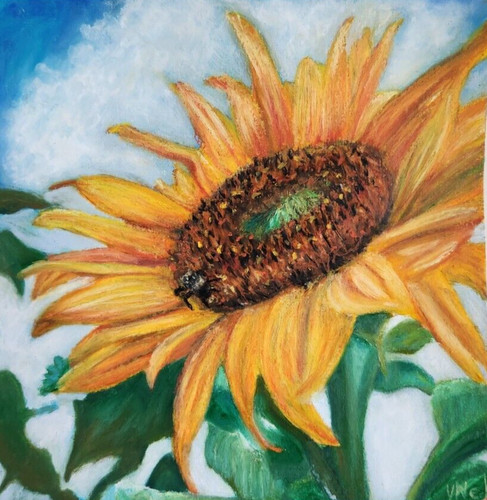 Oil pastel sunflower painting - pastel,