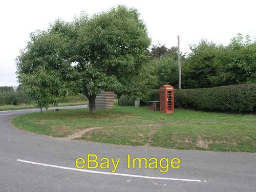 Photo 6x4 conkers and phone - conkers,