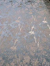 Fabric Lava Duck Egg Length