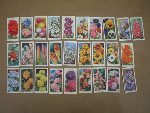 Will cigarette cards 28 - cigarette,