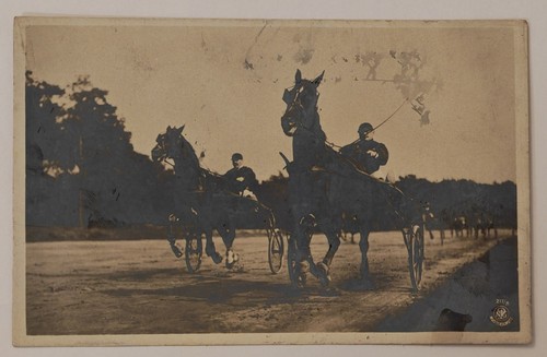 Harness horse racing sulky - horse,