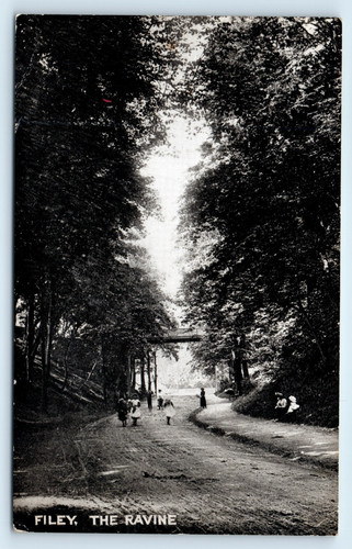Postcard filey the ravine - filey,