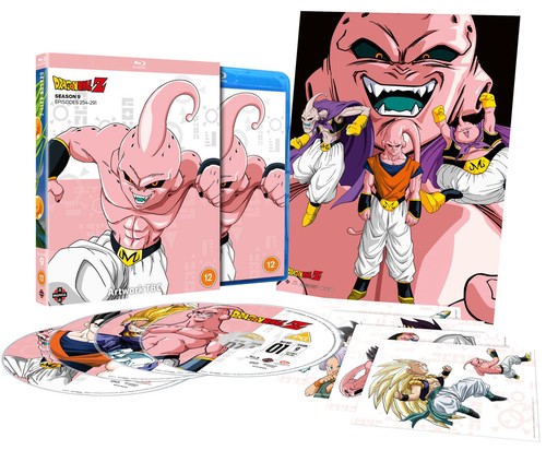 Dragon ball season - dragon, [12]