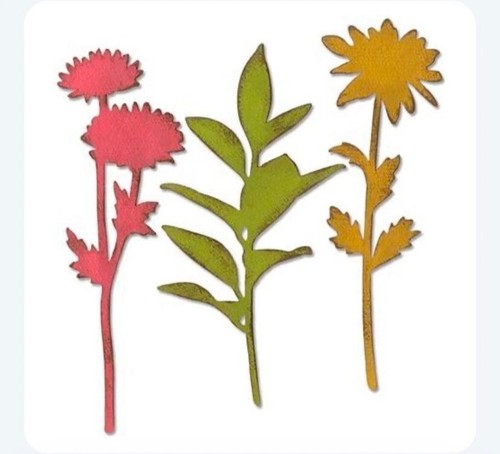 Sizzix bigz large die tim - bigz, by