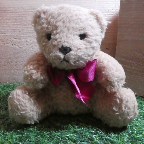 Distressed looking teddy - teddy, bear