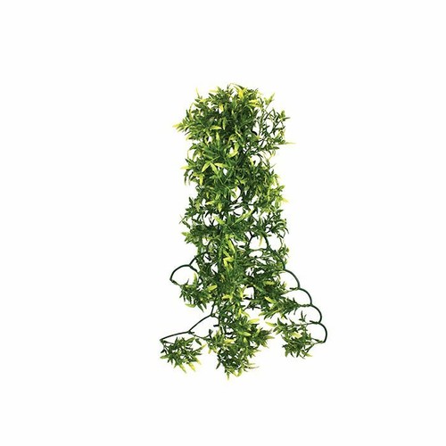 Komodo vivarium hanging vine - hanging,