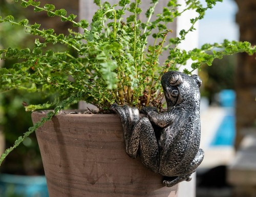 Pot buddies handmade frog - pot,