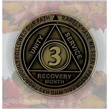 3 Month Alcoholics Anonymous Medallion Bronze Plated AA Sobriety Chip Coin