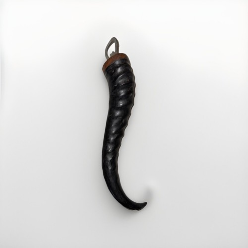 Bottle opener antler antelope - antler,