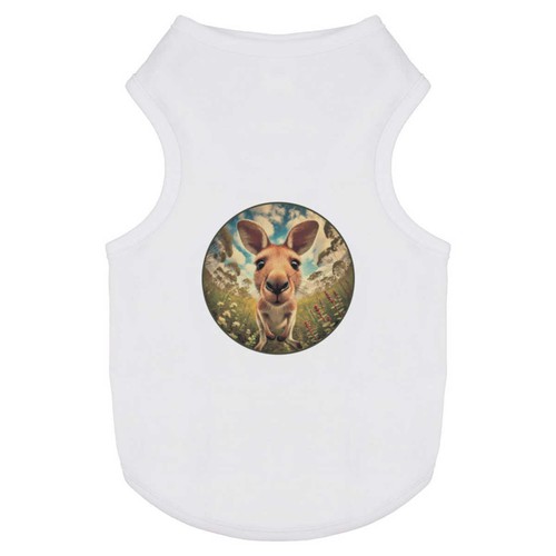 Trail cam kangaroo - 'trail, /