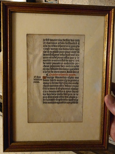 Medieval illuminated - medieval,