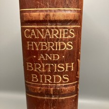 Canaries Hybrids and British