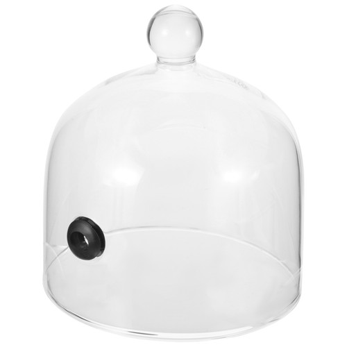 Plate covers keep food - , to