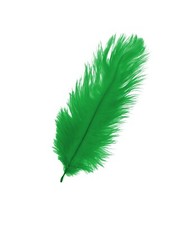 Large Long Ostrich Feathers