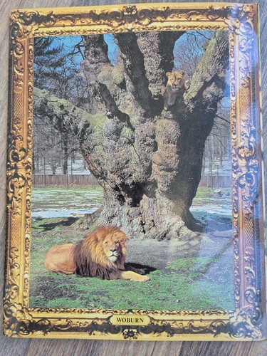 Vintage 1980 woburn safari - 1980,