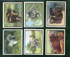 Selection of Chinese cigarette cards CHINA Animals Monkeys Gorilla etc etc #624