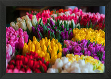 Beautiful flowers Framed Wall