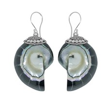 Handcrafted Nautilus Shell