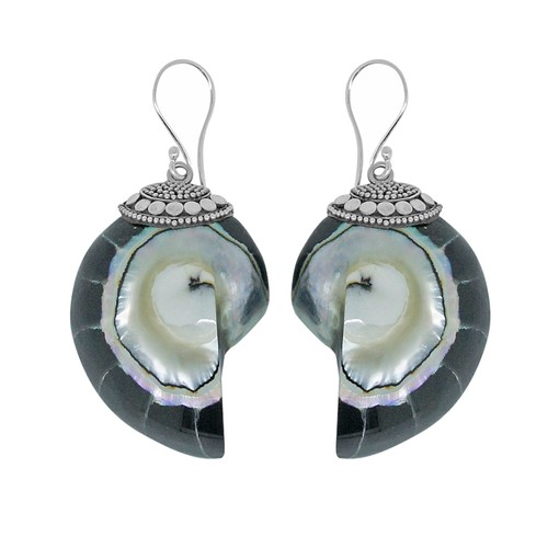 Handcrafted nautilus shell - nautilus,