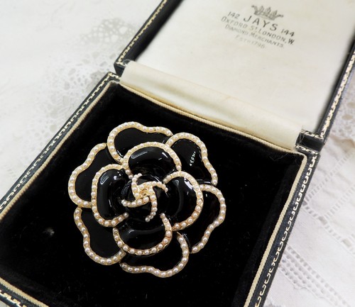 Beautiful camellia flower - camellia,