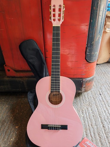 Ashton guitar case cd - ashton,