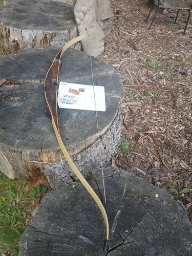 Vintage hoyt archery pro - vintage,