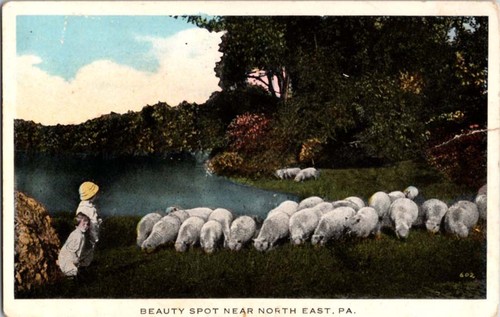 North east postcard beauty - pa,