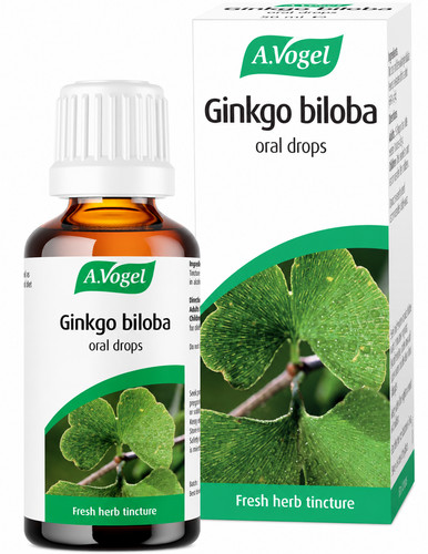 Vogel ginkgo biloba - vogel,