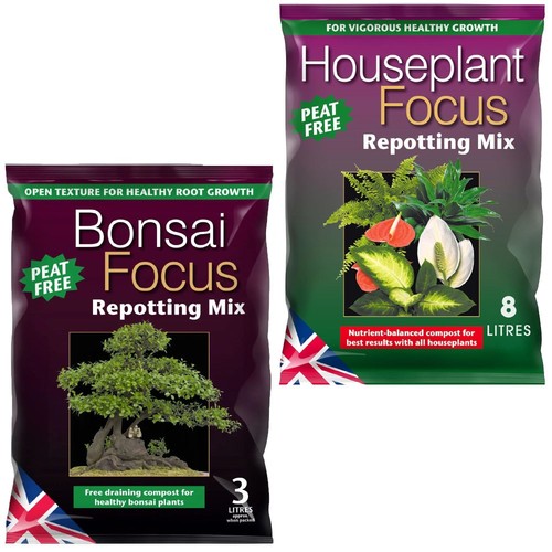 Growth technology houseplant - growth,