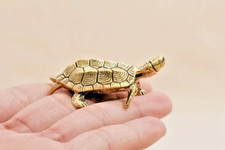 Small Brass Tortoise Turtle