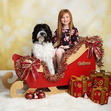 Santa's Sleigh MDF/Wooden Freestanding/SIT IN Christmas 1150mm length Take Apart