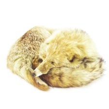 Fox Fur Tippet Face & Tail