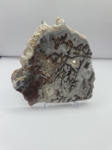 Large mexican crazy lace - large, slab