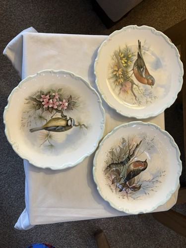 Royal albert the woodland - royal,
