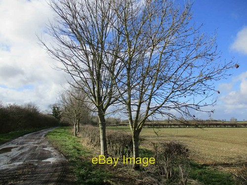 Photo 6x4 pinfold - photo,