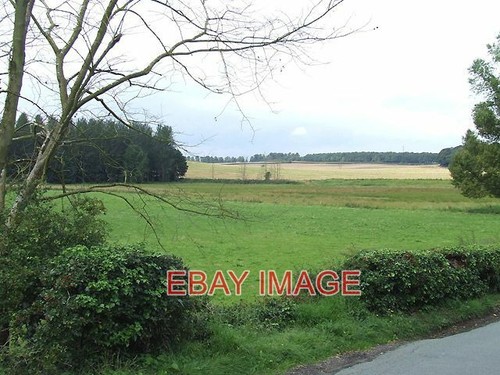 Photo grazing land - photo, the